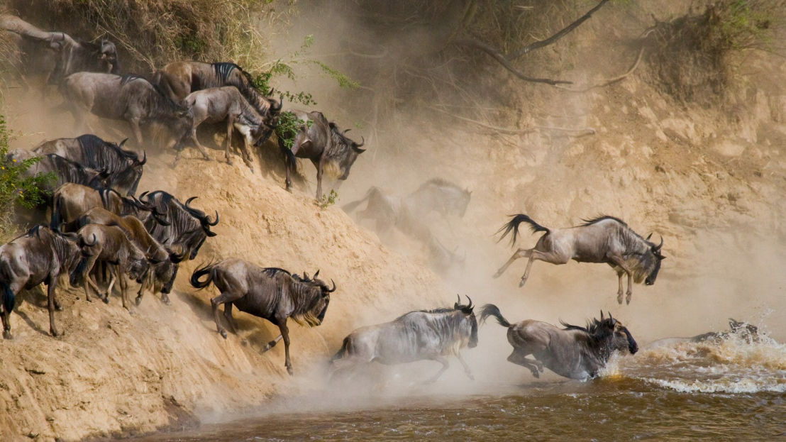 10 Days North Serengeti Migration